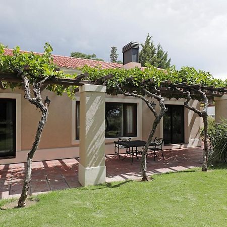 Casa Agostino - Luxury Wine Resort Барранкас Экстерьер фото